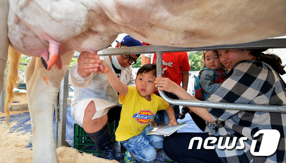 (성남=뉴스1) 이재명 기자 = 23일 오전 경기도 성남시 분당구 중앙공원 중앙광장에서 열린 도심 속 목장나들이에서 어린이들이 착유를 체험하고 있다. 우유자조금관리위원회 주최로 열 …