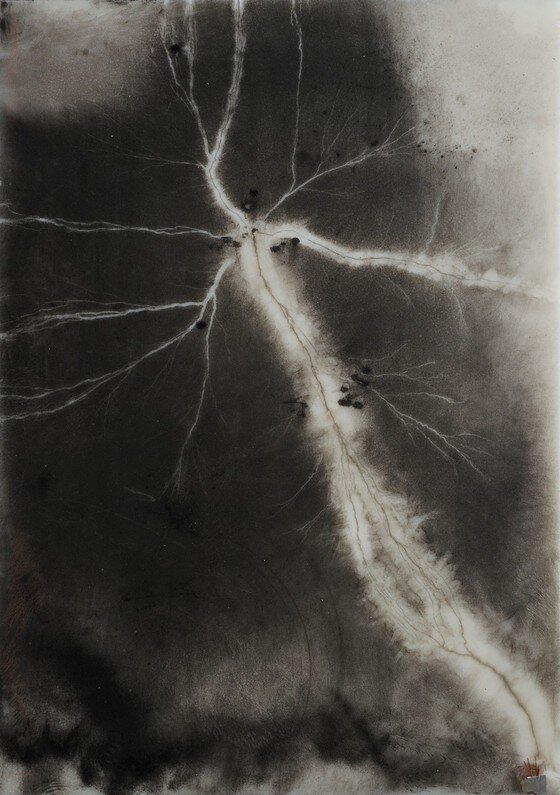 본문 이미지 - 니나 카넬, '여기서 가까이에', 2014