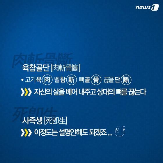 본문 이미지 - 2015.05.29/뉴스1 ⓒ News1