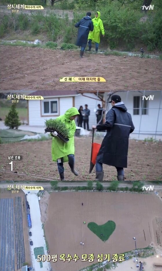 본문 이미지 - 박신혜, 옥택연이 500평 밭에 옥수수 모종을 심었다. ⓒ News1스포츠 / tvN &acute;삼시세끼 정선편&acute; 캡처