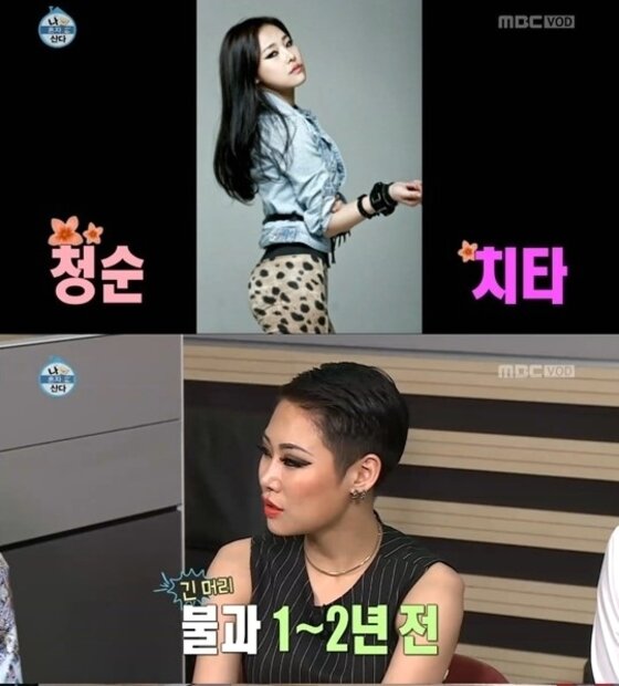 본문 이미지 - 치타가 긴 머리를 포기한 이유를 밝혔다. ⓒ News1 스포츠/MBC '나혼자산다' 캡처