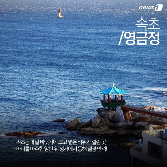 본문 이미지 - /뉴스1 ⓒ News1