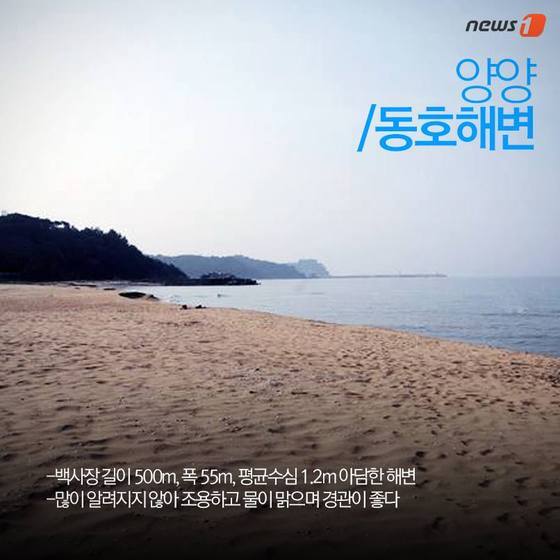 본문 이미지 - /뉴스1 ⓒ News1