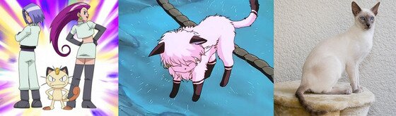 본문 이미지 - '포켓몬스터' 로켓단 소속 악당 고양이 나옹과 '란마1/2'에서 물이 닿으면 고양이로 변하는 샴푸의 모델 묘종은 샴이다.(사진출처 구글)ⓒ News1