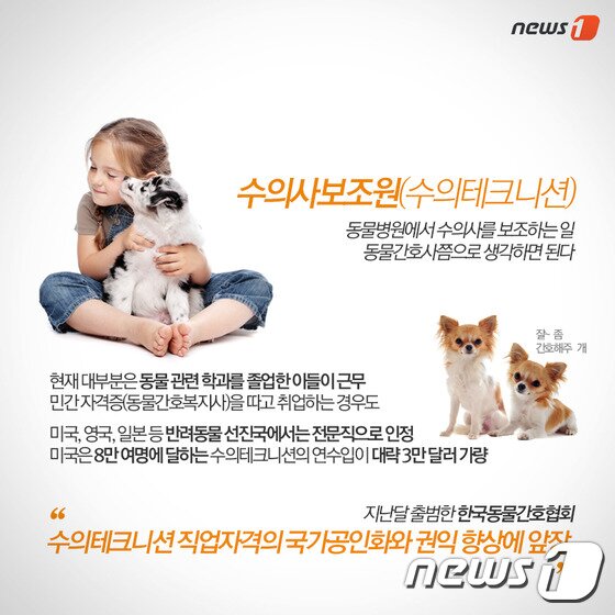 본문 이미지 - ⓒ News1