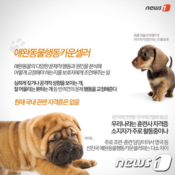 본문 이미지 - ⓒ News1