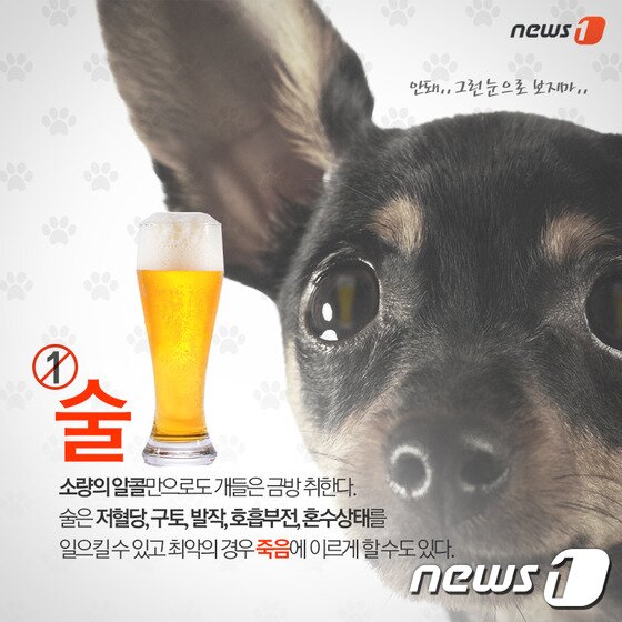 본문 이미지 - ⓒ News1