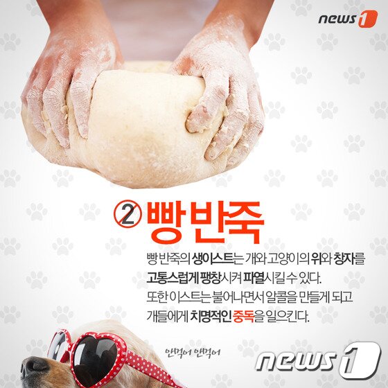 본문 이미지 - ⓒ News1