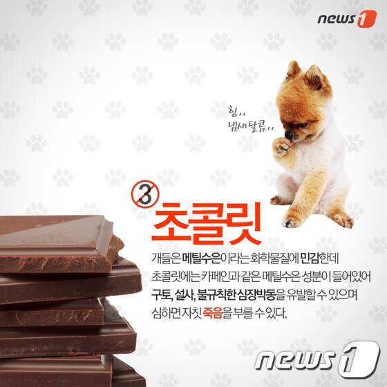 본문 이미지 - ⓒ News1