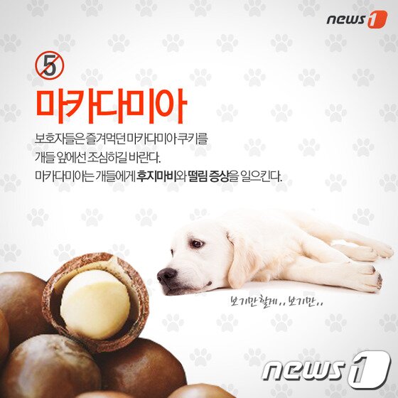 본문 이미지 - ⓒ News1