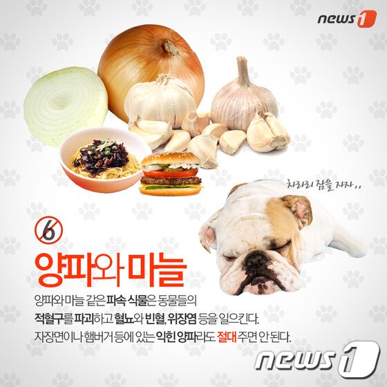 본문 이미지 - ⓒ News1