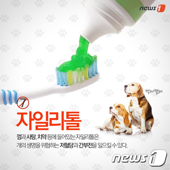 본문 이미지 - ⓒ News1