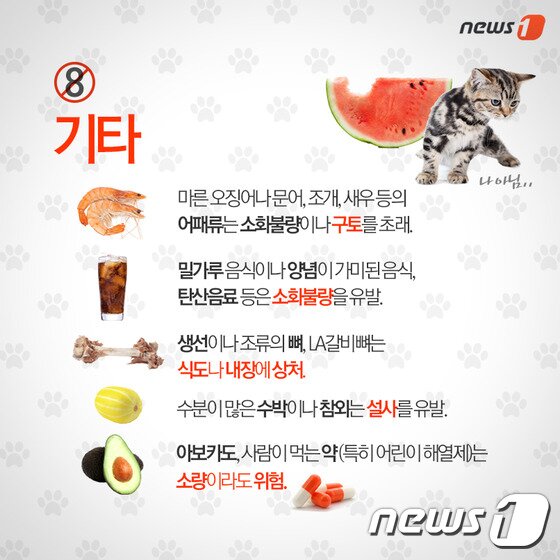 본문 이미지 - ⓒ News1