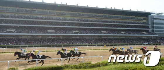 본문 이미지 - 경기 과천시 렛츠런파크 서울(구 서울경마공원) 경마장(뉴스1  DB) ⓒ 뉴스1