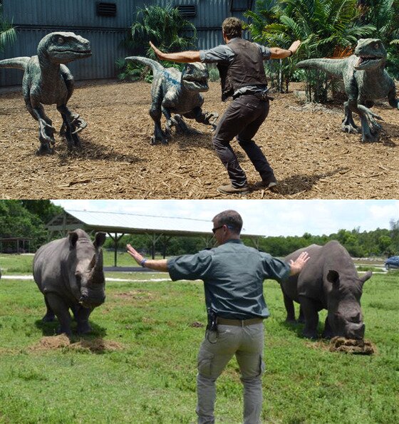 본문 이미지 - 美 플로리다 주 리온 컨트리 사파리 동물원에서 흰코뿔소와 함께. (리온 컨트리 사파리 트위터) ⓒ News1