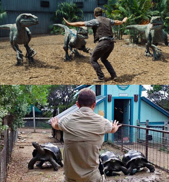 본문 이미지 - 美 텍사스 주 오스틴 동물원에서 갈라파고스 땅거북과 함께. (오스틴 동물원 페이스북) ⓒ News1