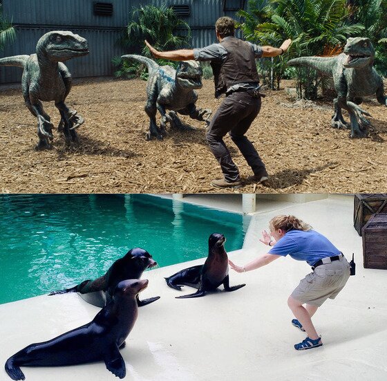 본문 이미지 - 美 텍사스 주 휴스턴 동물원의 키프 수족관에서 물개와 함께. (휴스턴 동물원 트위터) ⓒ News1