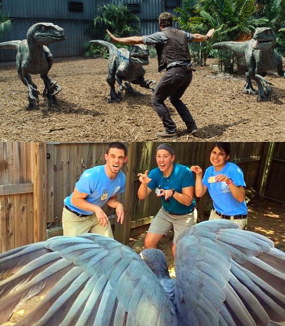 본문 이미지 - 美 앨리배마 주 버밍엄 동물원에서 검은앵무(혹은 인류)와 함께. (버밍엄 동물원 페이스북) ⓒ News1