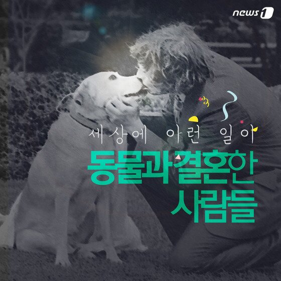 본문 이미지 - ⓒ News1