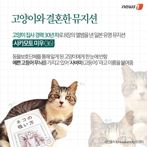 본문 이미지 - ⓒ News1