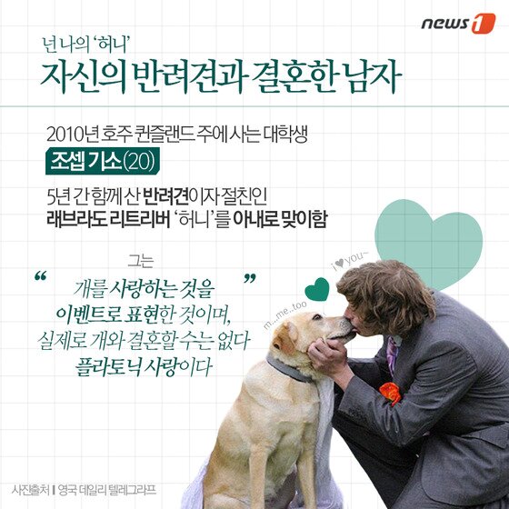 본문 이미지 - ⓒ News1