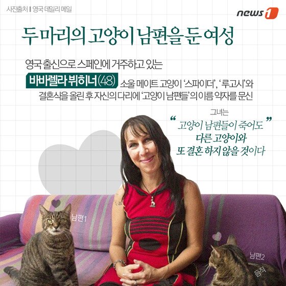 본문 이미지 - ⓒ News1