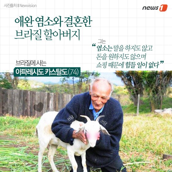 본문 이미지 - ⓒ News1