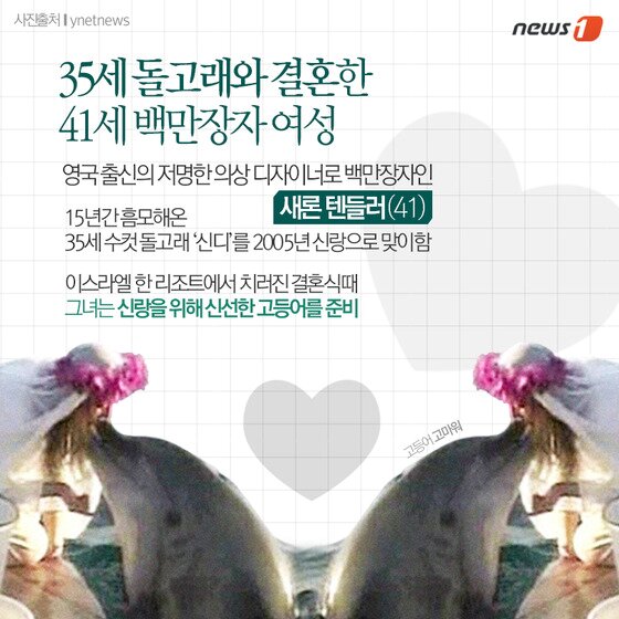 본문 이미지 - ⓒ News1