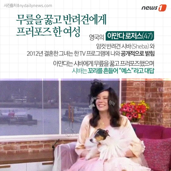 본문 이미지 - ⓒ News1