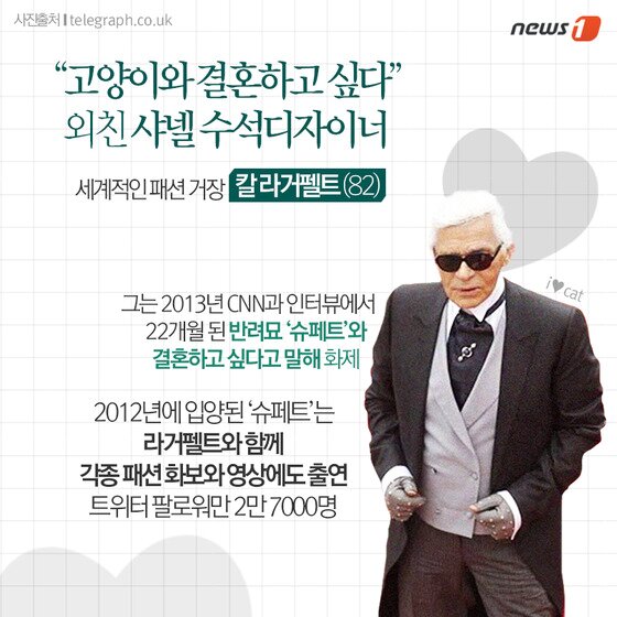 본문 이미지 - ⓒ News1