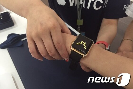본문 이미지 - 프리스비 명동은 예약자에 한해 애플워치 에디션 시착 서비스를 진행한다. 교육을 이수한 애플워치 전문가가 10~20분간 설명을 진행한다. 예약자는 원하는 모델을 신청할 수 있다. 사진은 옐로 골드 42mm 클래식 버클 미드나잇블루. 판매가 1900만원. 2015.06.26/뉴스1 ⓒ News1 김진 인턴기자