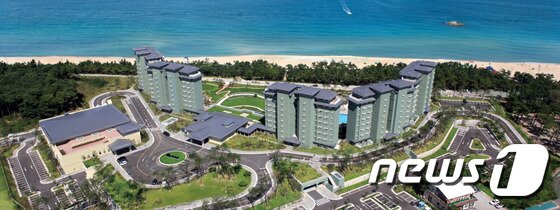 본문 이미지 - 라카이 샌드파인 전경 ⓒ News1