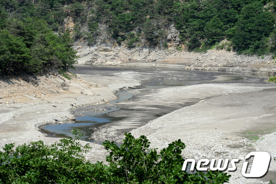 (강릉=뉴스1) 서근영 기자 = 6일 강원지역이 강수량 부족으로 극심한 가뭄을 앓고 있는 가운데 강릉지역의 상수원인 오봉댐의 상류 구간이 내리쬐는 햇볕으로 바닥을 보이고 있다.오봉 …