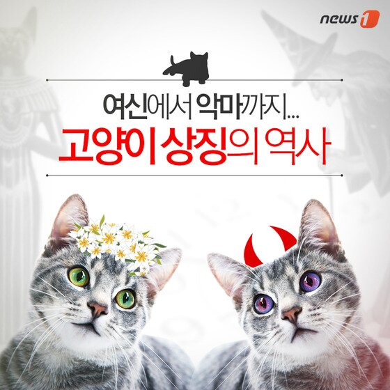 본문 이미지 - ⓒ News1