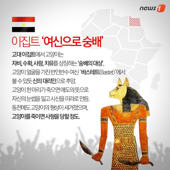 본문 이미지 - ⓒ News1