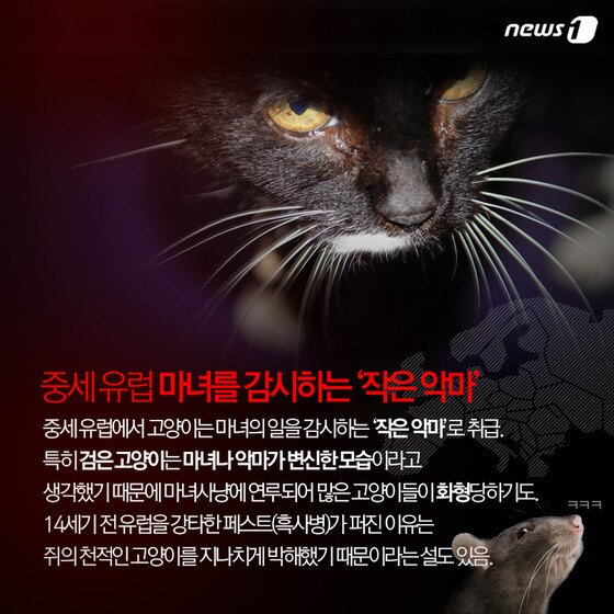 본문 이미지 - ⓒ News1