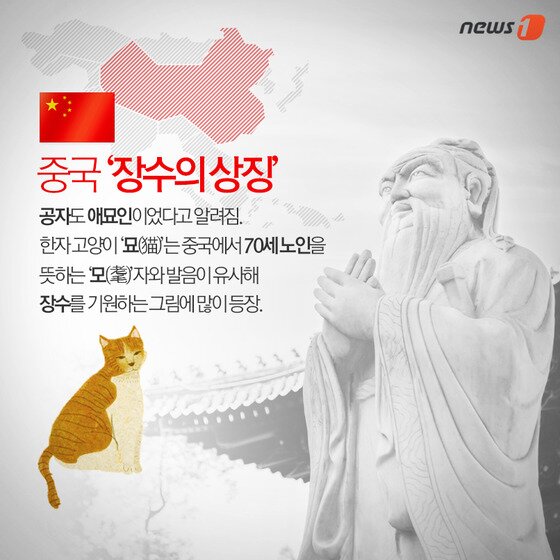 본문 이미지 - ⓒ News1