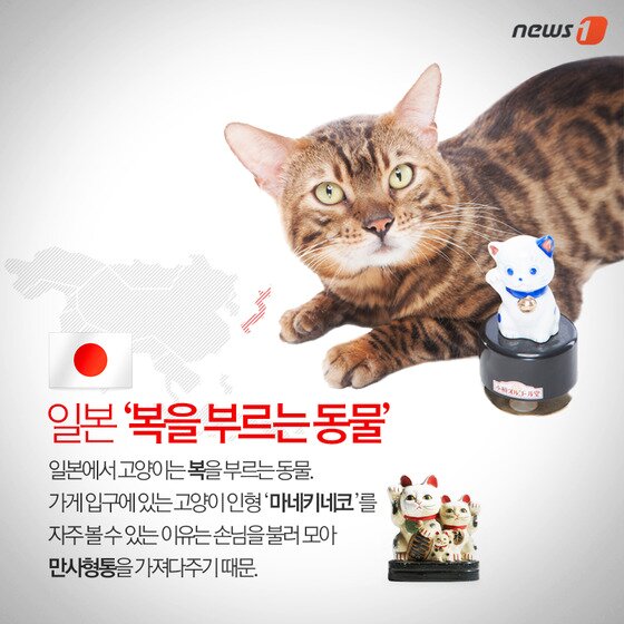 본문 이미지 - ⓒ News1