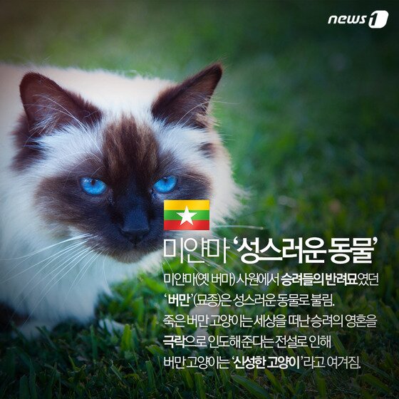 본문 이미지 - ⓒ News1