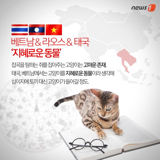 본문 이미지 - ⓒ News1