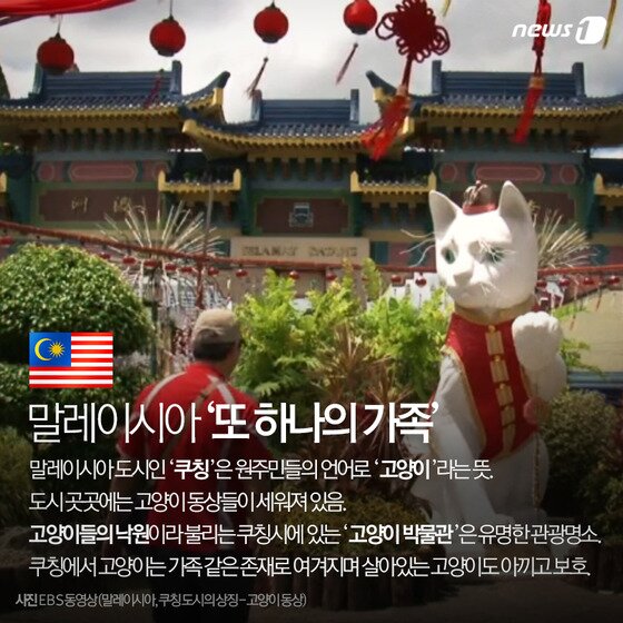 본문 이미지 - ⓒ News1