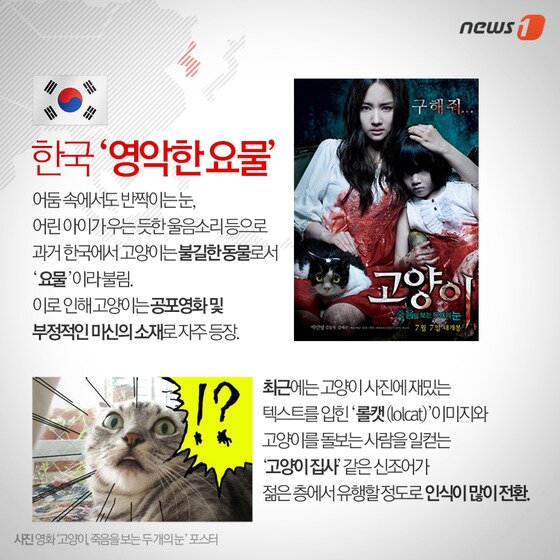 본문 이미지 - ⓒ News1