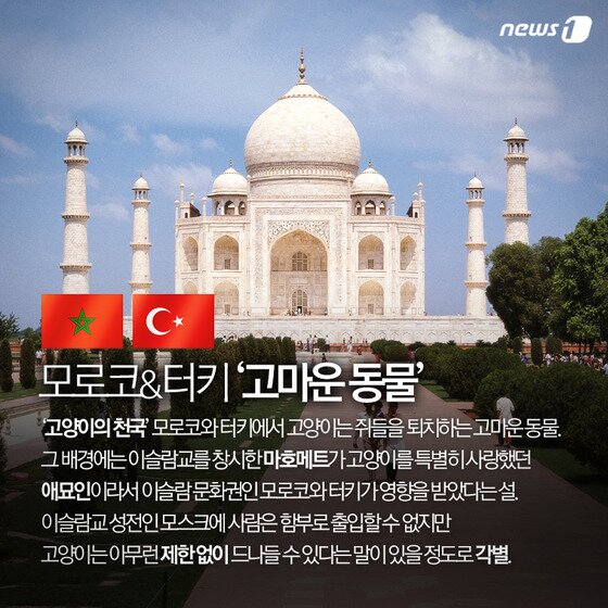 본문 이미지 - ⓒ News1