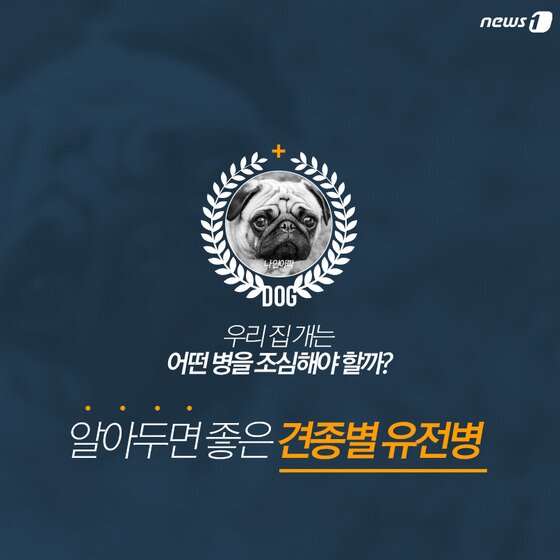 본문 이미지 - ⓒ News1