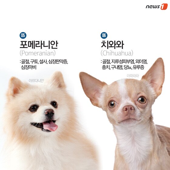 본문 이미지 - ⓒ News1