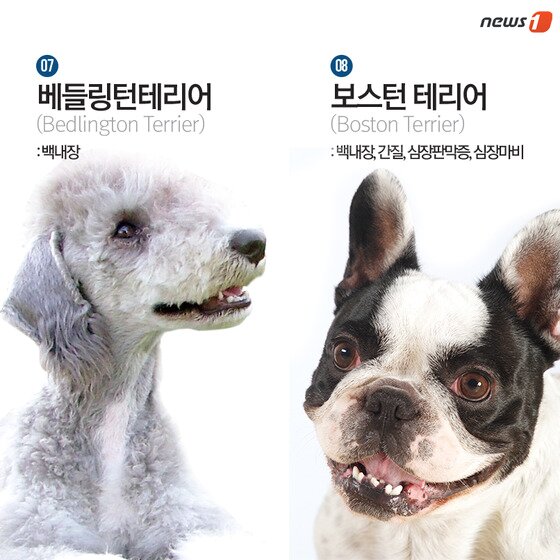 본문 이미지 - ⓒ News1