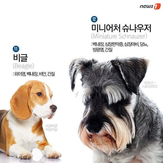 본문 이미지 - ⓒ News1
