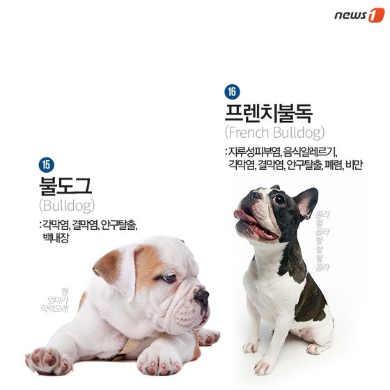 본문 이미지 - ⓒ News1