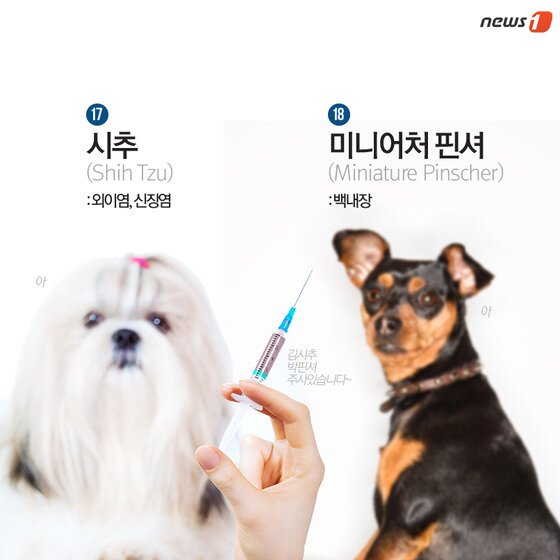 본문 이미지 - ⓒ News1