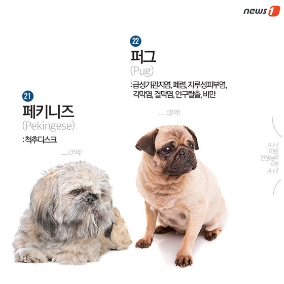 본문 이미지 - ⓒ News1